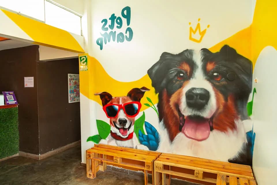 PetsCamp
