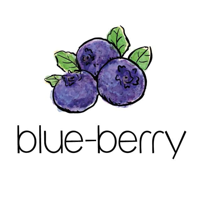 Blue Berry Store 