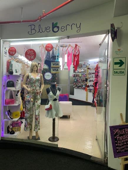 Blue Berry Store 